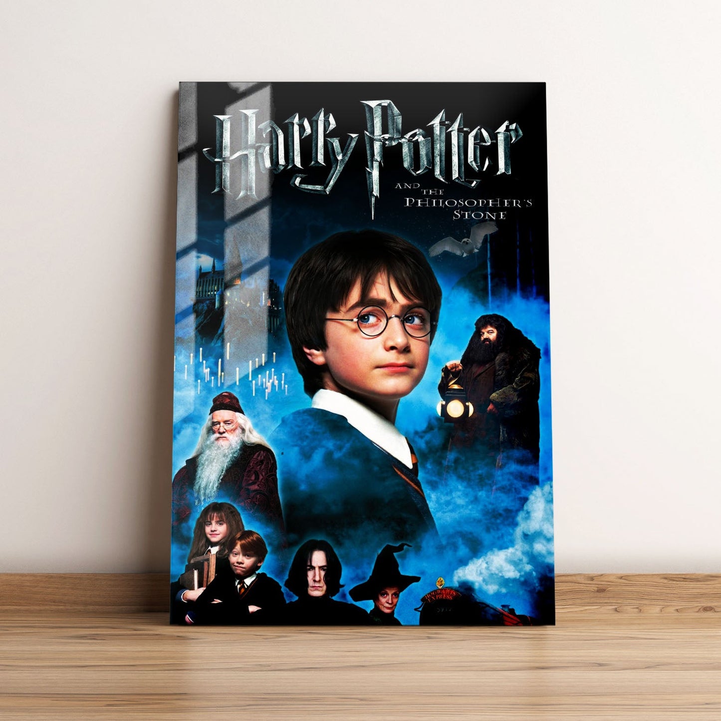 Harry Potter and the Philosophers Stone Classic Movie Metal Poster