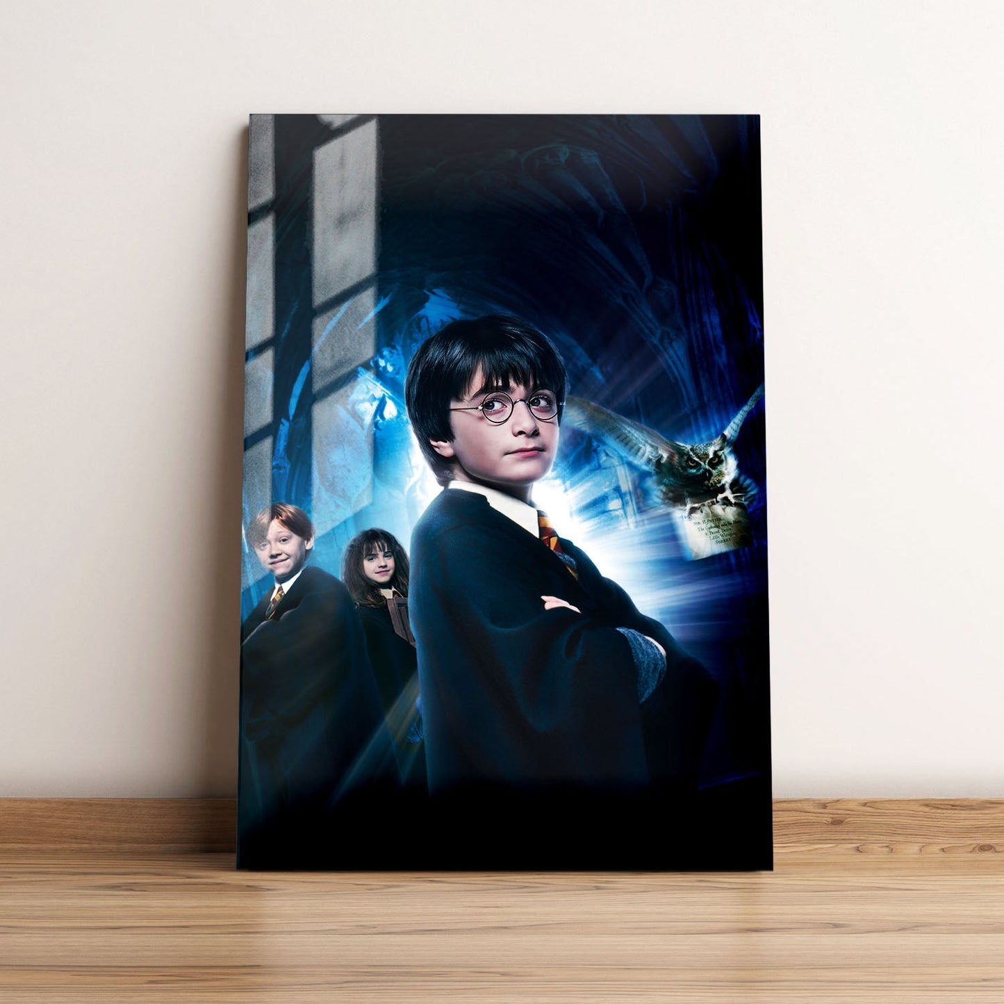 Harry Potter and the Philosophers Stone Textless Movie Metal Poster