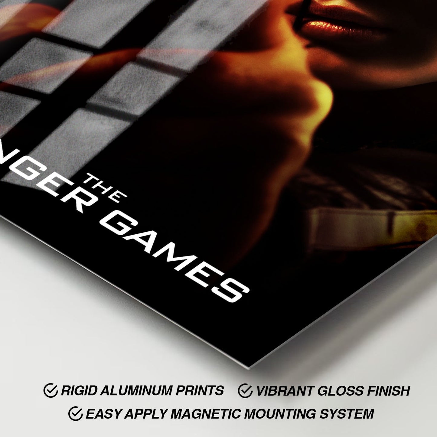 Flex Designs Metal Poster The Hunger Games 11 x 17" Home Goods - Movie 2012 Movie Metal Poster
