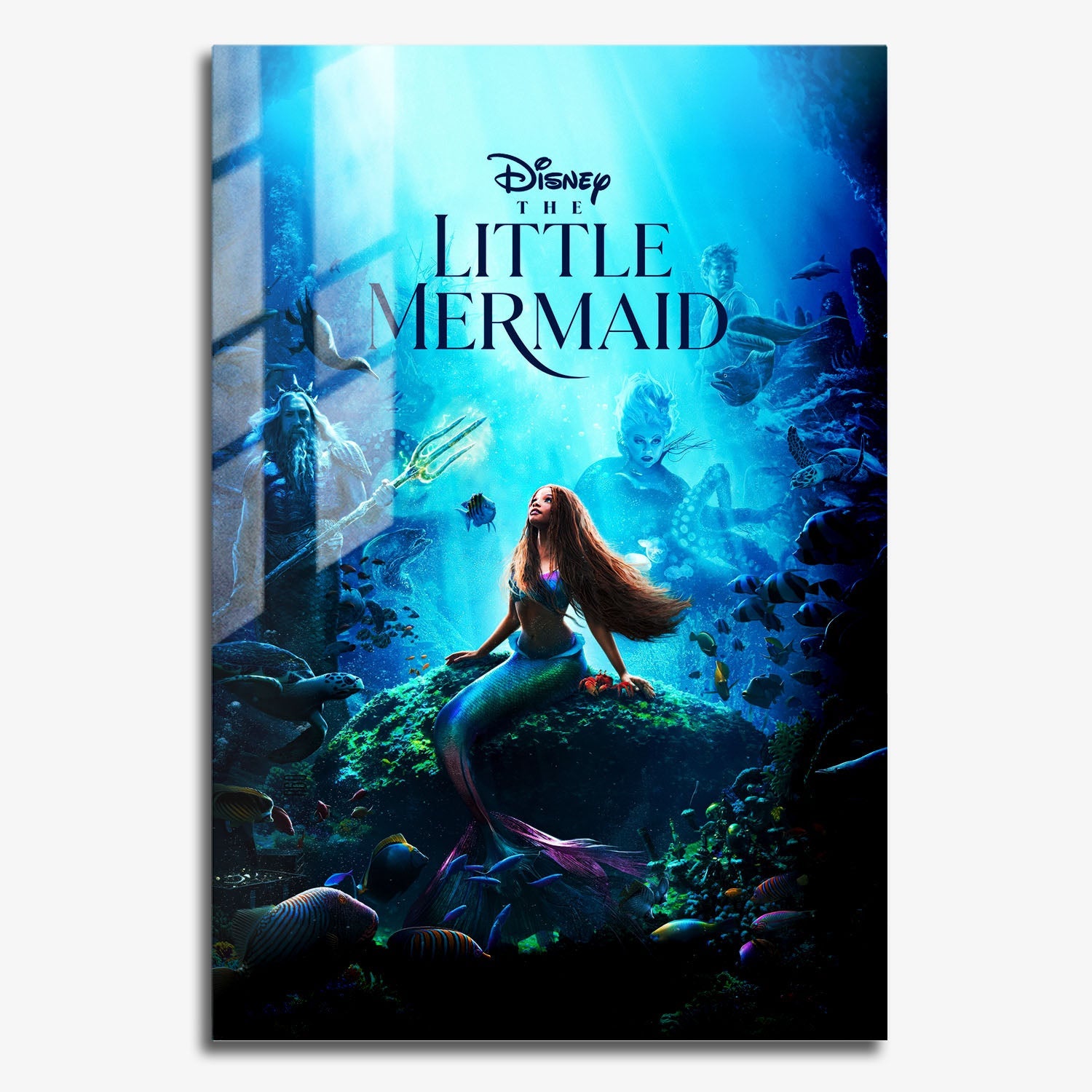 Flex Designs Metal Poster The Little Mermaid Live Action 11 x 17" Home Goods - Movie 2023 Movie Metal Poster