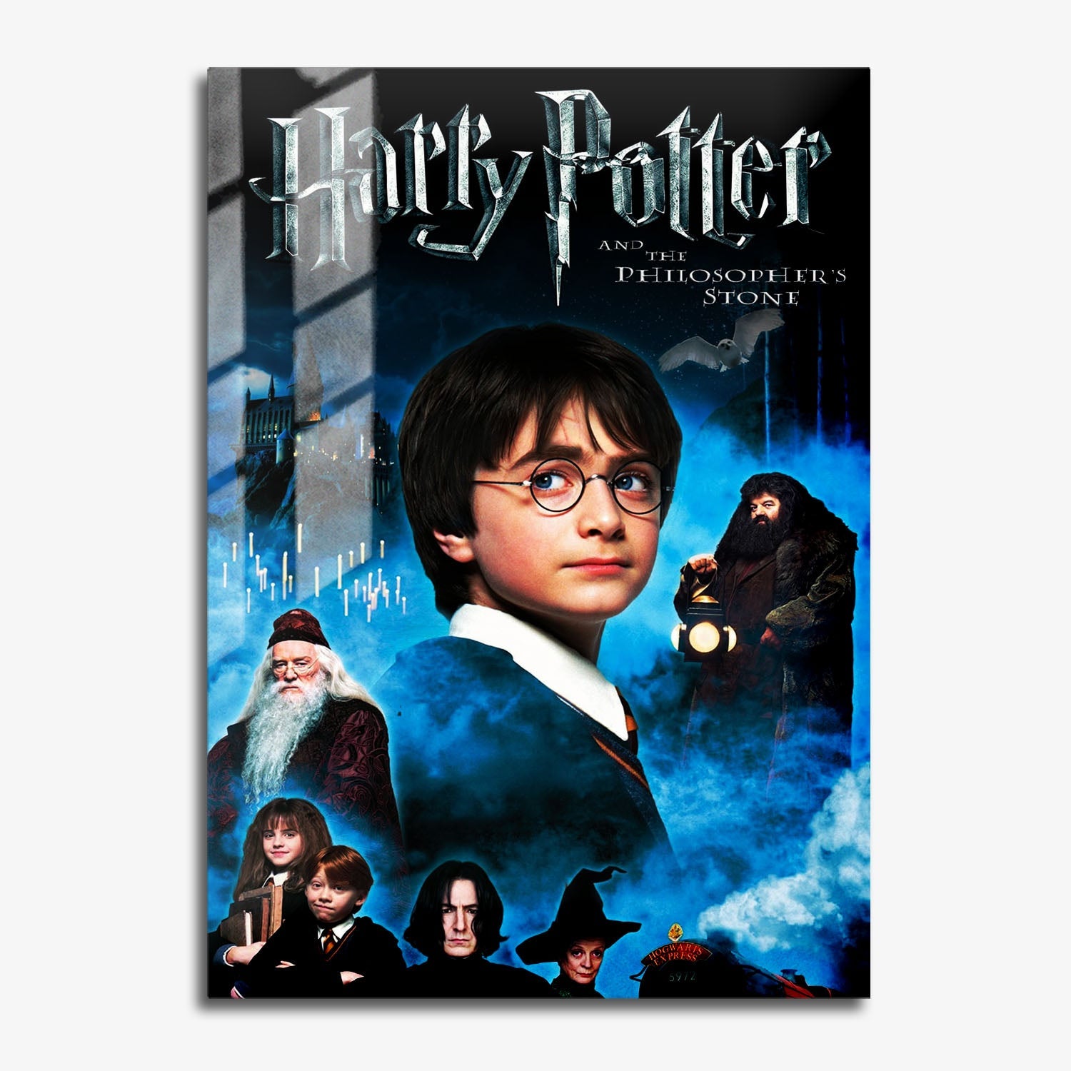 Flex Designs Metal Poster Harry Potter and the Philosophers Stone Classic 11 x 17" Home Goods - Movie 2001 Movie Metal Poster