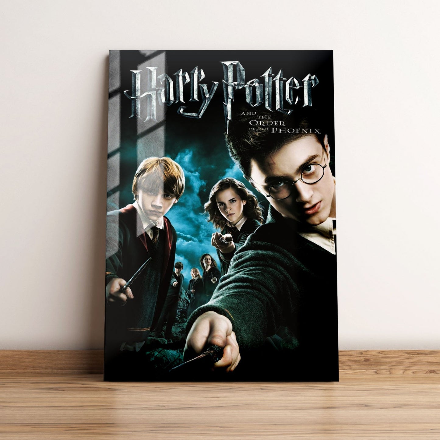 Harry Potter and the Order of the Phoenix Classic Movie Metal Poster