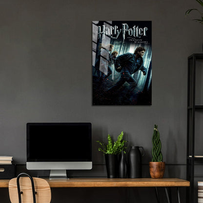 Flex Designs Metal Poster Harry Potter and the Deathly Hallows Part 1 Classic 5 x 7" Home Goods - Movie 2010 Movie Metal Poster