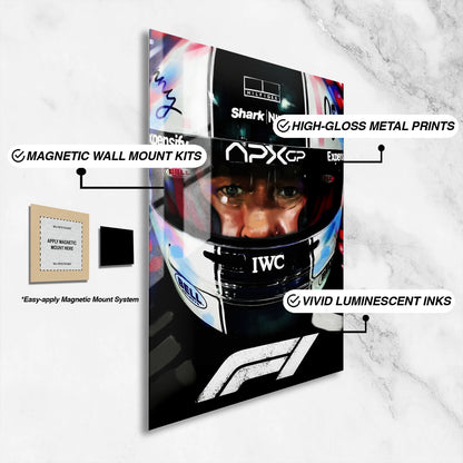 Flex Designs Metal Poster F1 Helmet 16 x 24" Home Goods - Movie 2013 Movie Metal Poster