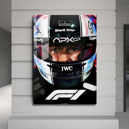 Flex Designs Metal Poster F1 Helmet 24 x 36" Home Goods - Movie 2013 Movie Metal Poster