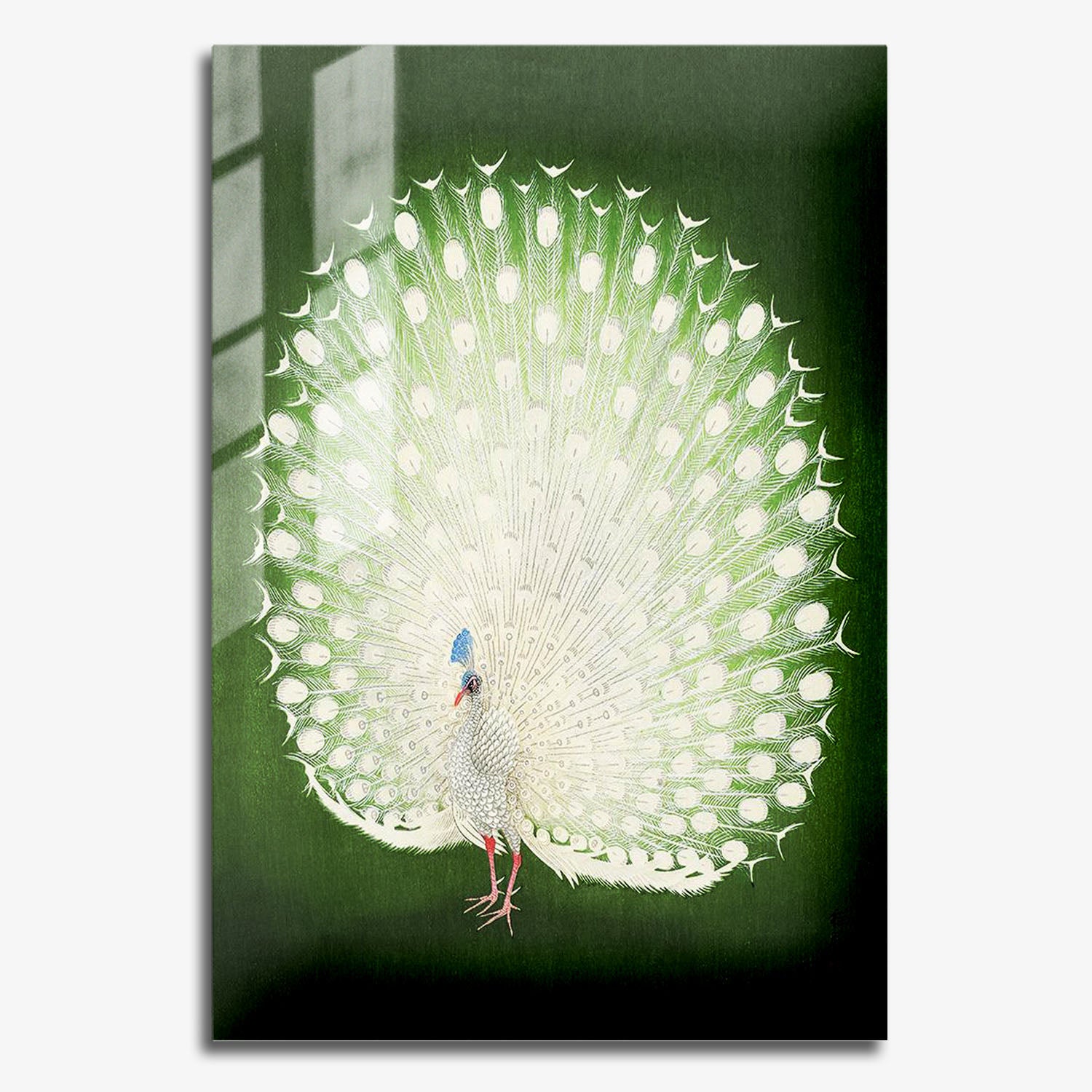 Flex Designs Metal Poster Green Peacock by Ohara Koson 11 x 17" Home Goods - Artist Artwork  Metal Poster