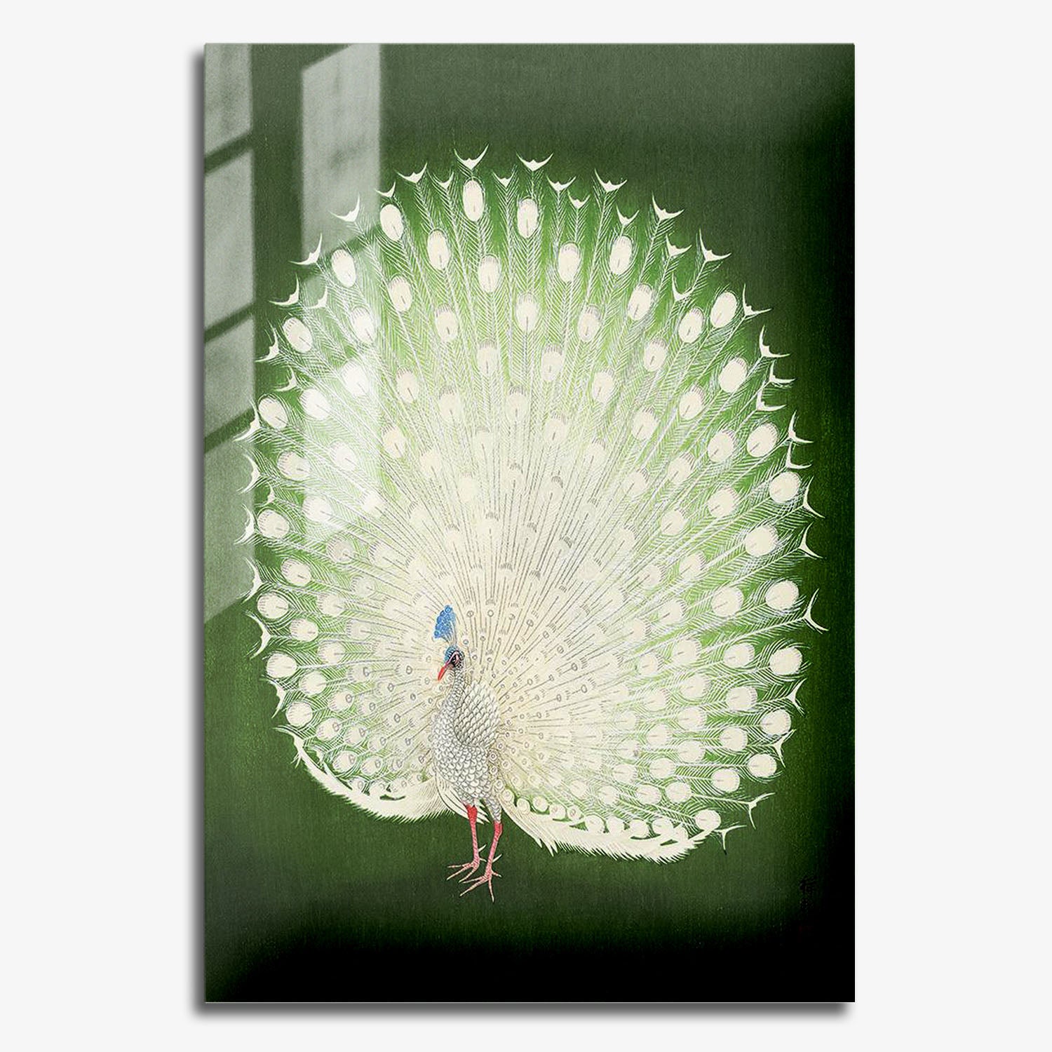 Flex Designs Metal Poster Green Peacock by Ohara Koson 11 x 17" Home Goods - Artist Artwork  Metal Poster
