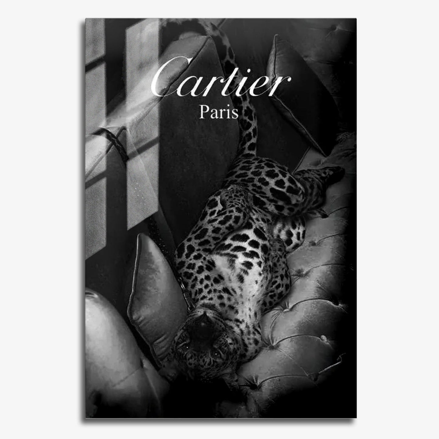 Flex Designs Metal Poster Le Noir Cartier Paris 11 x 17" Home Goods - Designer  Metal Poster