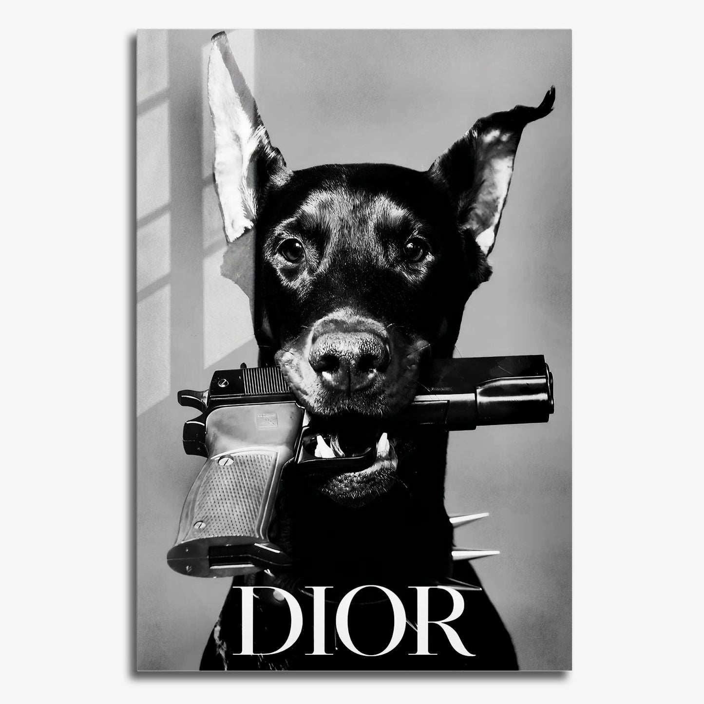 Flex Designs Metal Poster Le Noir Dior Paris 11 x 17" Home Goods - Designer  Metal Poster