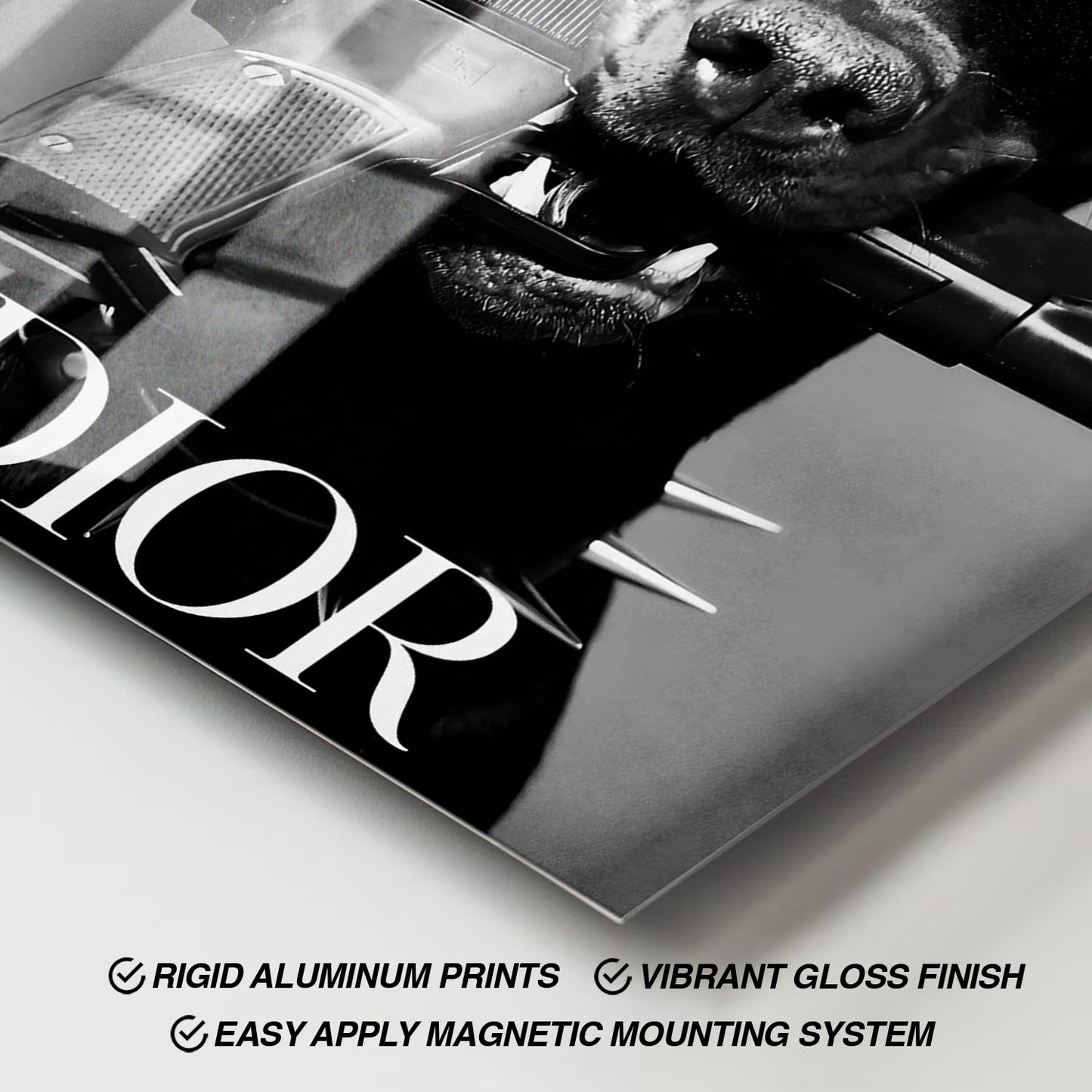 Flex Designs Metal Poster Le Noir Dior Paris 11 x 17" Home Goods - Designer  Metal Poster