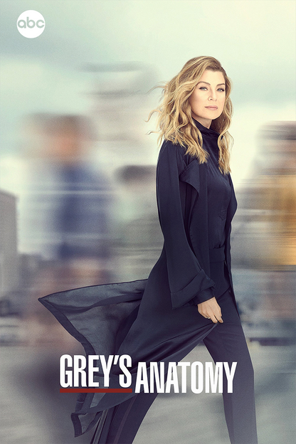 Flex Designs Metal Poster Greys Anatomy 11 x 17" Home Goods - TV Show 2005 TV Show Metal Poster