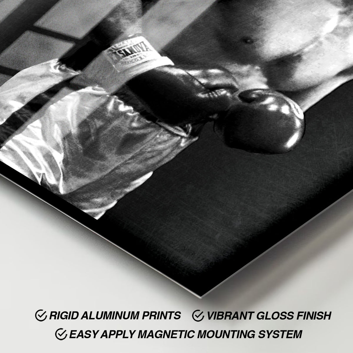 Flex Designs Metal Poster Rocky Alternate 11 x 17" Home Goods - Movie 1976 Movie Metal Poster