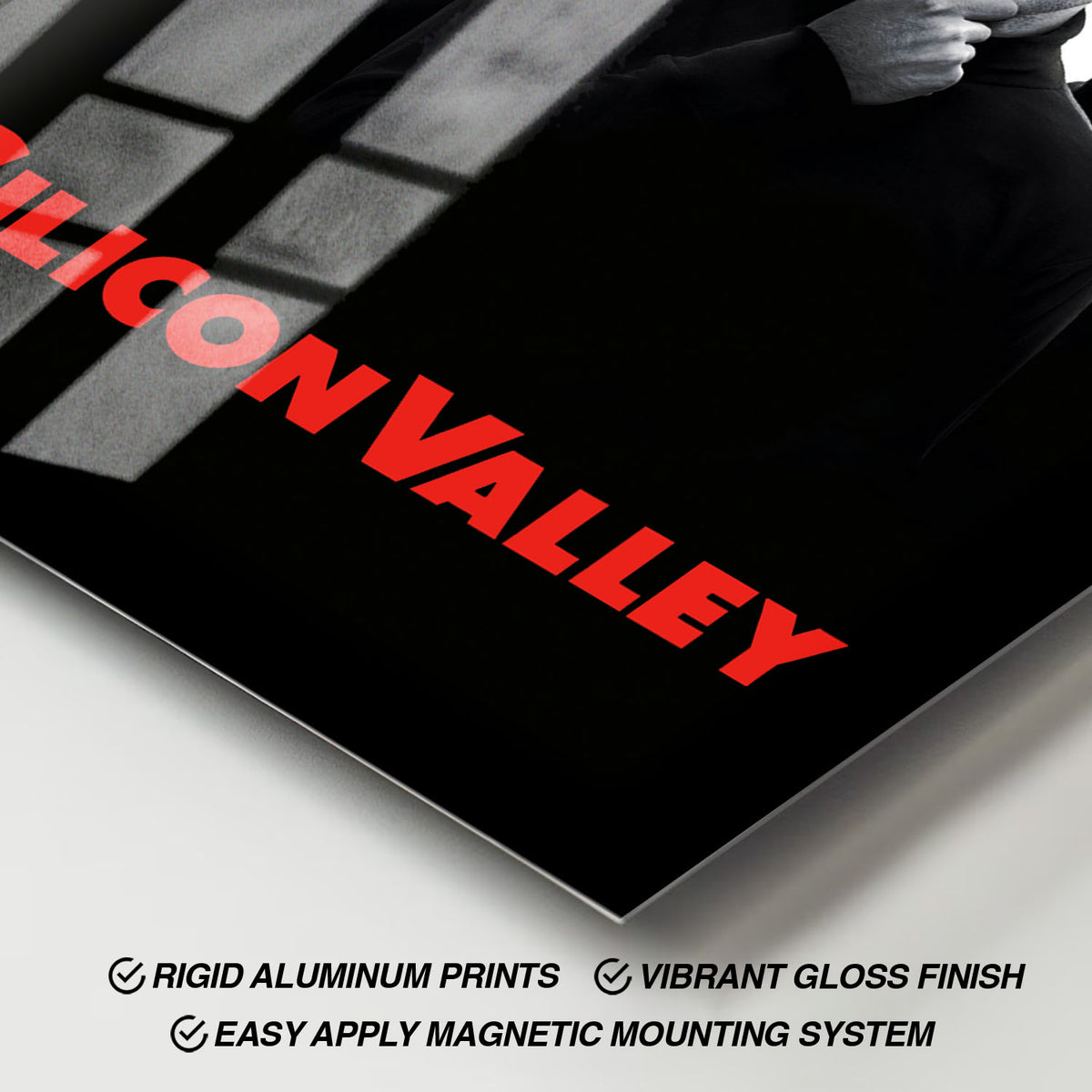 Flex Designs Metal Poster Silicon Valley 11 x 17" Home Goods - TV Show 2014 TV Show Metal Poster