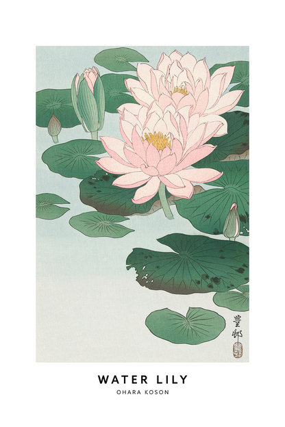 Flex Designs Metal Poster Water Lily by Ohara Koson 11 x 17" Home Goods - Artist Artwork  Metal Poster