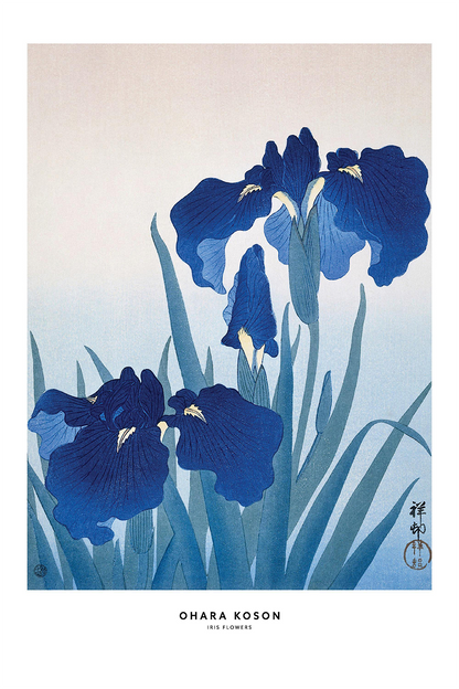 Flex Designs Metal Poster Iris Flowers by Ohara Koson 11 x 17" Home Goods - Artist Artwork  Metal Poster