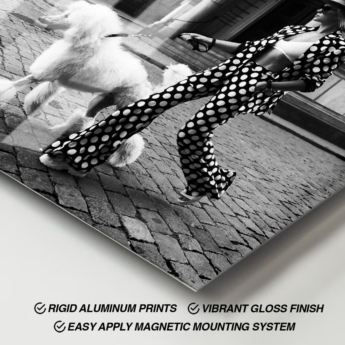 Flex Designs Metal Poster Le Noir Polka Dots 11 x 17" Home Goods - Designer  Metal Poster