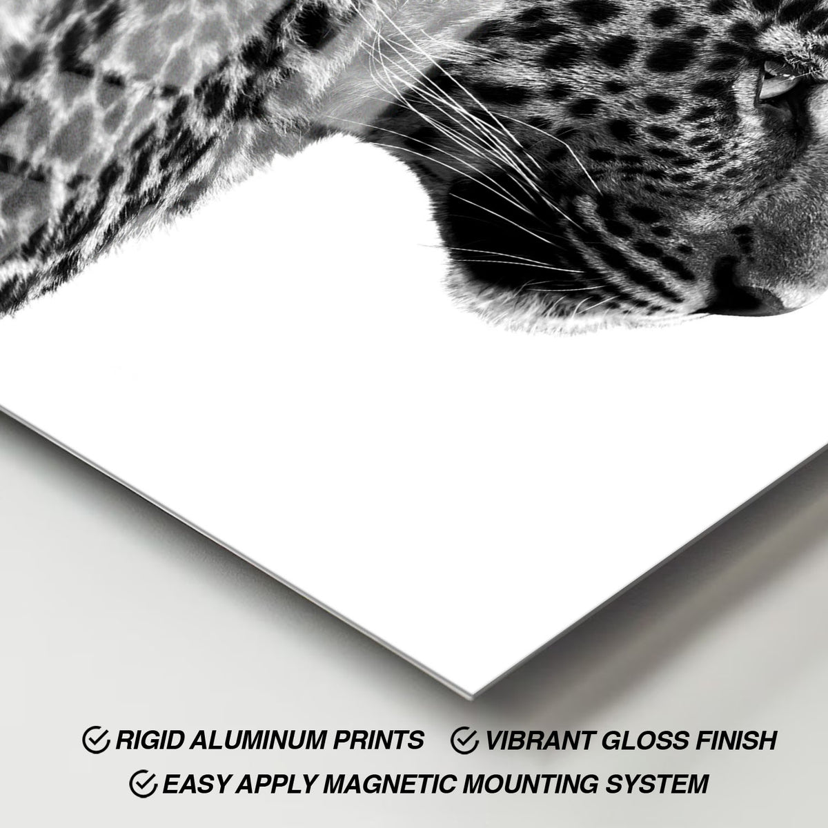 Flex Designs Metal Poster Noir Leopard 11 x 17" Home Goods - Designer  Metal Poster