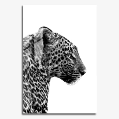 Flex Designs Metal Poster Noir Leopard 24 x 36" Home Goods - Designer  Metal Poster