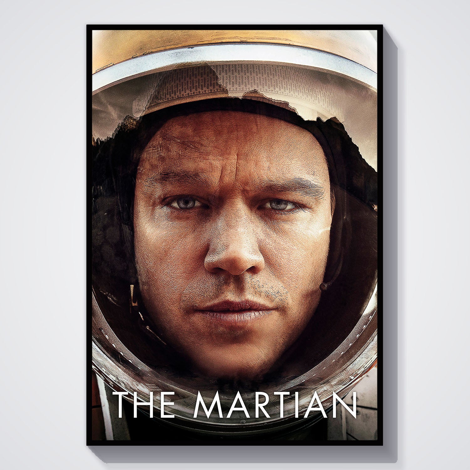 Flex Designs Poster The Martian Matt Damon 5 x 7" Home Goods - Movie 2015 Movie Poster