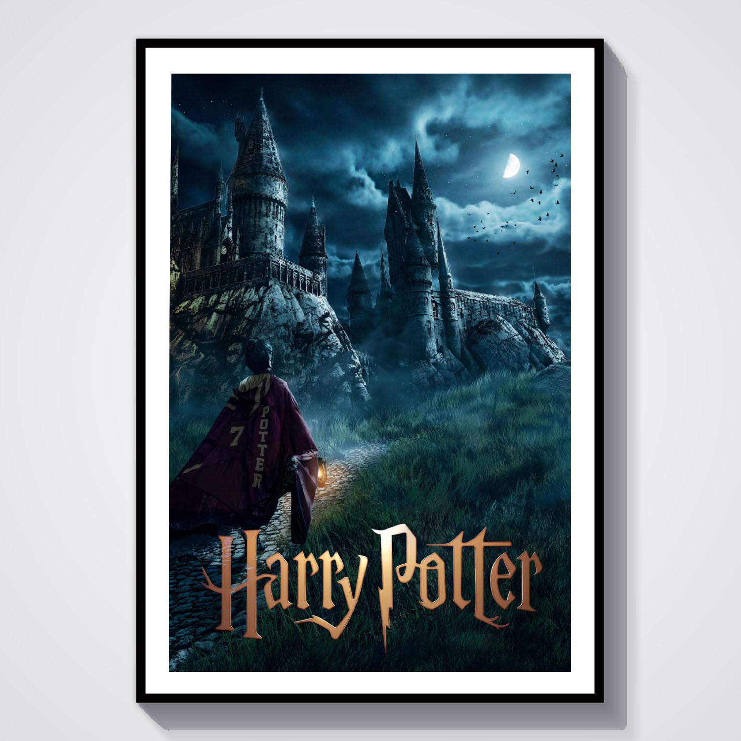 Flex Designs Poster Harry Potter TV Series Cover 8 x 10" Home Goods - TV Show 2026 TV Show Poster