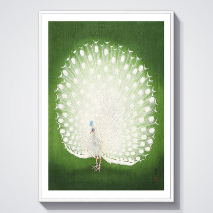 Flex Designs Poster Green Peacock by Ohara Koson 5 x 7" Home Goods - Artist Artwork  Poster