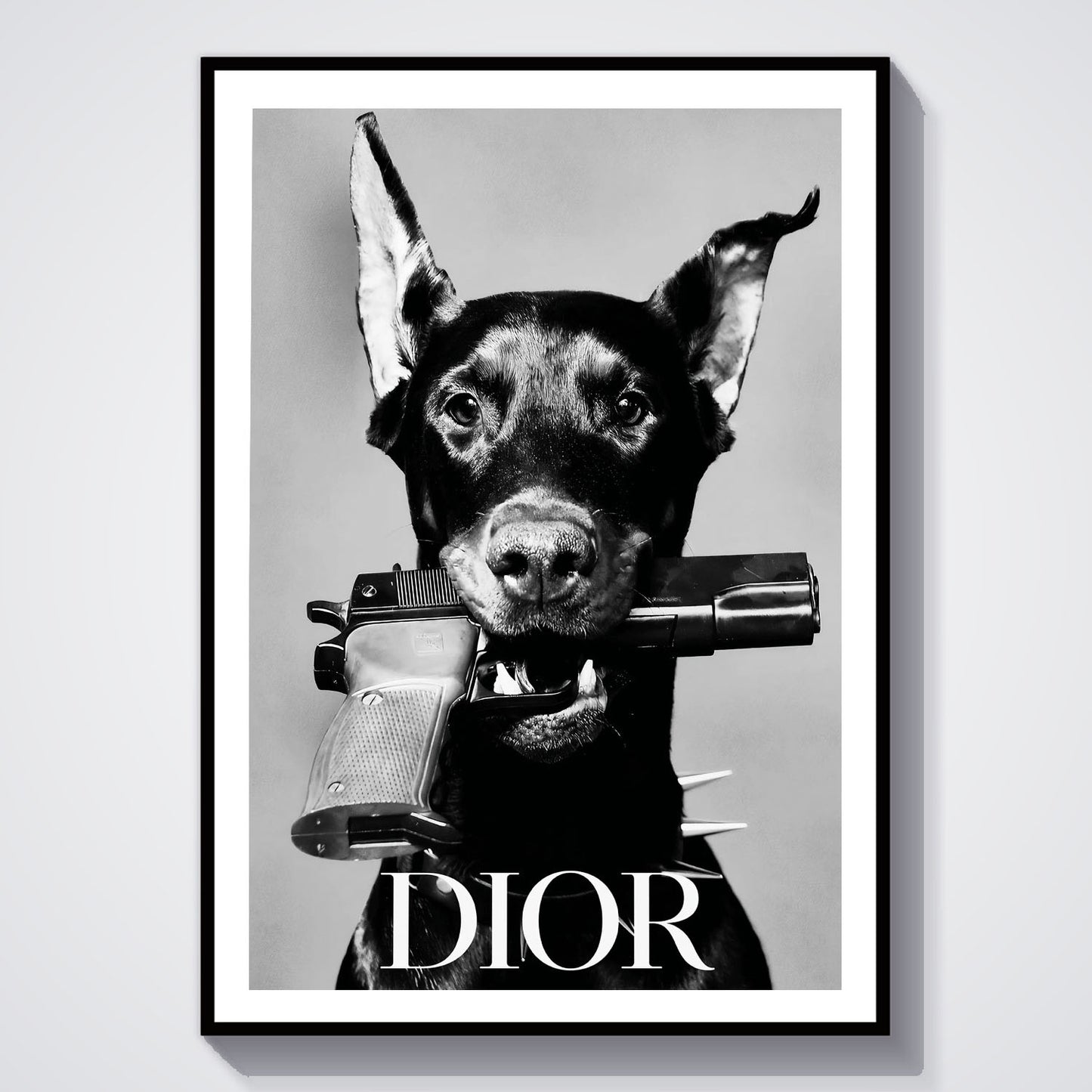 Flex Designs Poster Le Noir Dior Paris 5 x 7" Home Goods - Designer  Poster