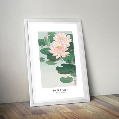 Flex Designs Poster Water Lily by Ohara Koson 5 x 7" Home Goods - Artist Artwork  Poster
