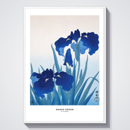 Flex Designs Poster Iris Flowers by Ohara Koson 11 x 17" Home Goods - Artist Artwork  Poster