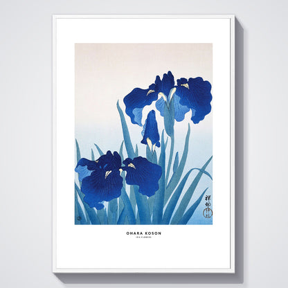 Flex Designs Poster Iris Flowers by Ohara Koson 5 x 7" Home Goods - Artist Artwork  Poster