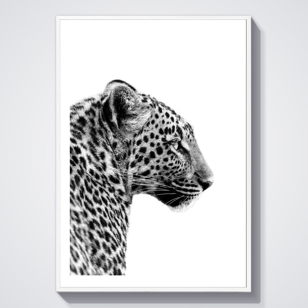 Flex Designs Poster Noir Leopard 5 x 7" Home Goods - Designer  Poster