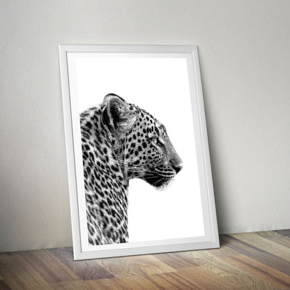 Flex Designs Poster Noir Leopard 5 x 7" Home Goods - Designer  Poster